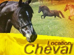 chevaux en location