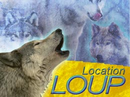 loup publicité