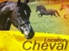 chevaux en location